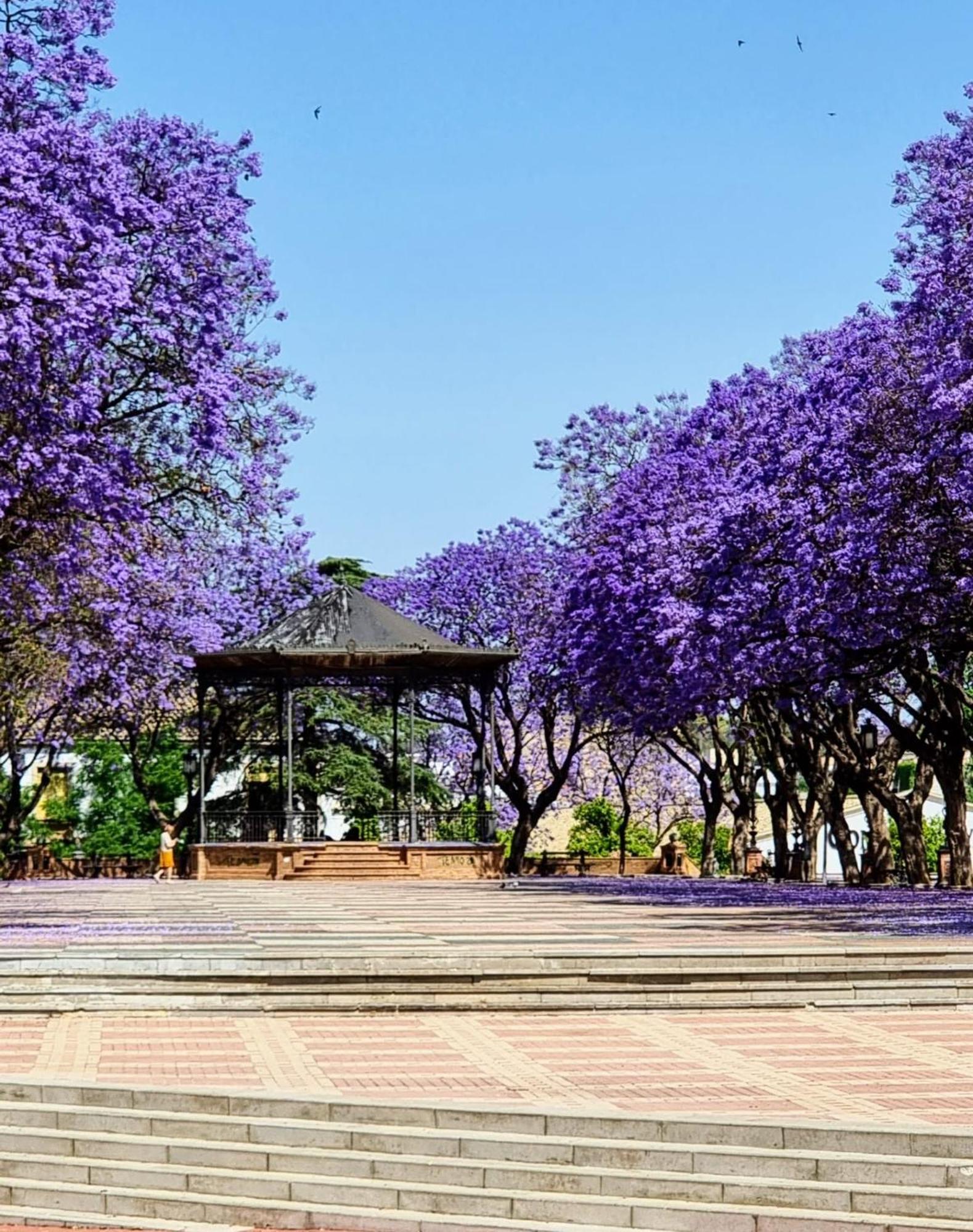 赫雷斯Alazan Jerez Iv-Parking Gratis-Wifi-Netflix公寓 外观 照片